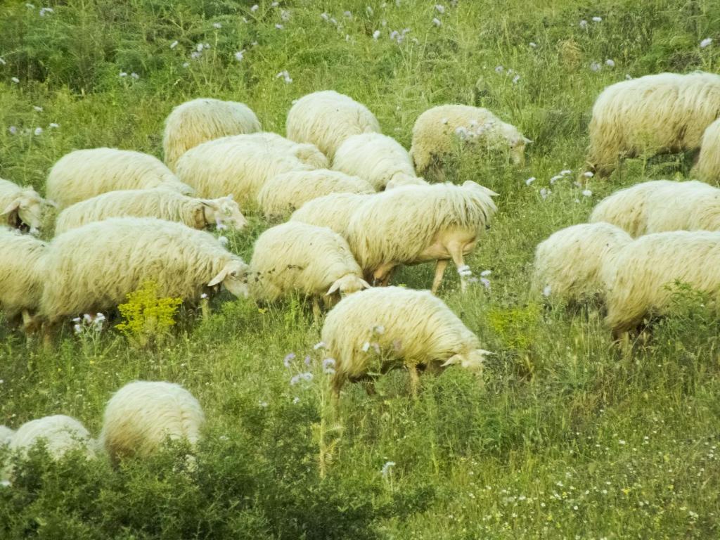 Tenuta Su Vrau Posada Kültér fotó