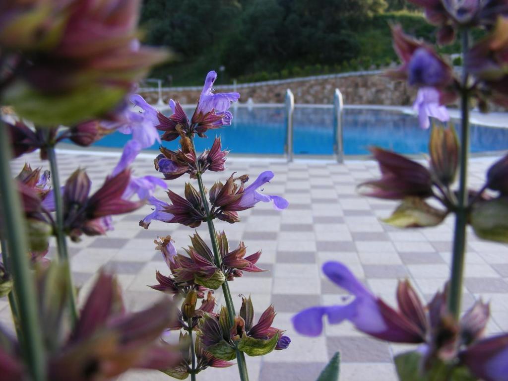 Tenuta Su Vrau Posada Kültér fotó